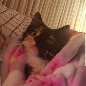 Meet your Posher, Lisa